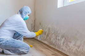 Reliable Greensboro, NC Mold Inspection Solutions